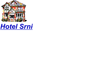 Hotel Srni